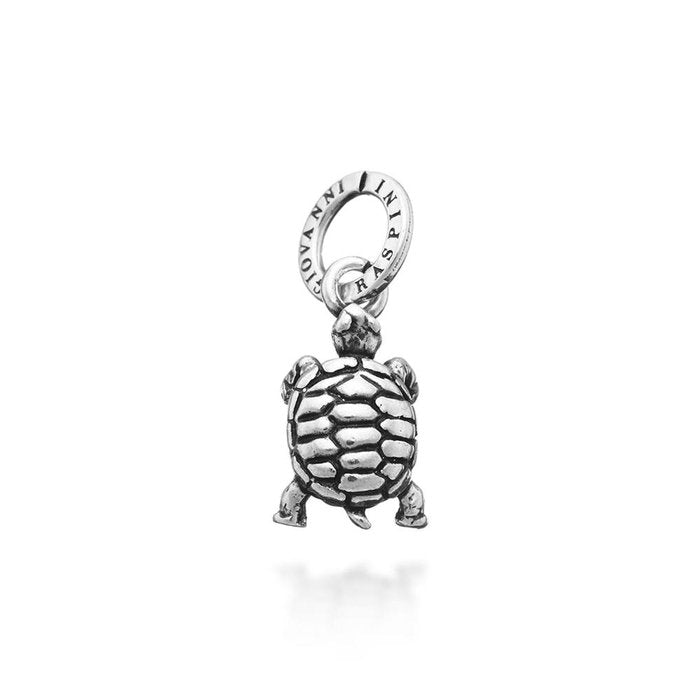 Charme de tortue