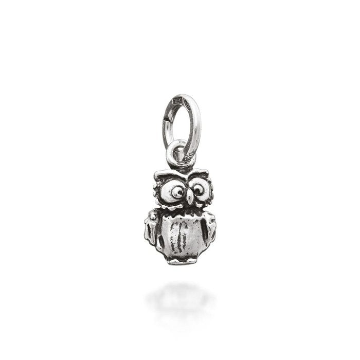 Charme de hibou