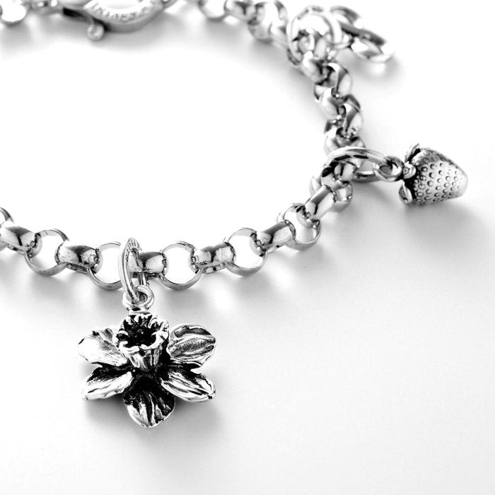 Charme de Narcisse