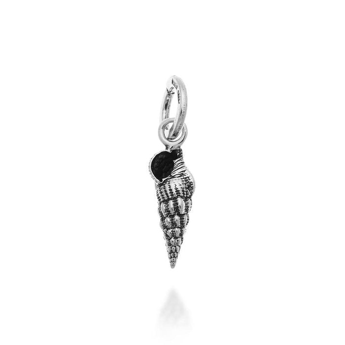 Charme de coquillage Turritella