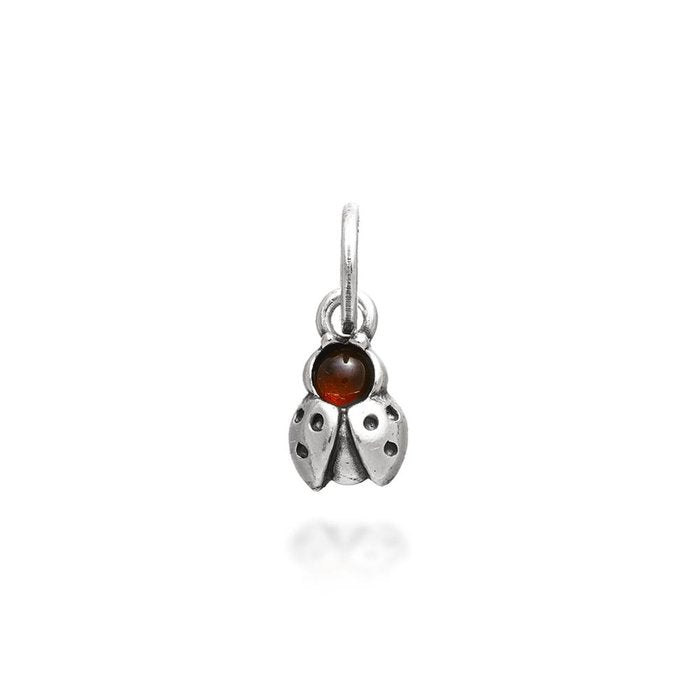 Couleur du charme de la coccinelle