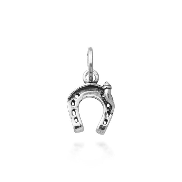 Charm Horseshoe Hornino