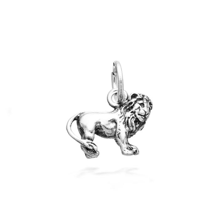 Charme du Lion