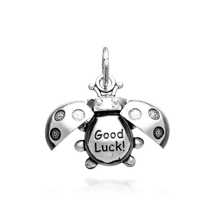 Porte-bonheur coccinelle « Bonne chance »