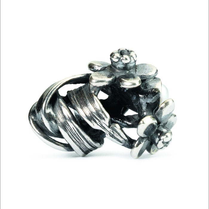 Giunchiglia di marzo