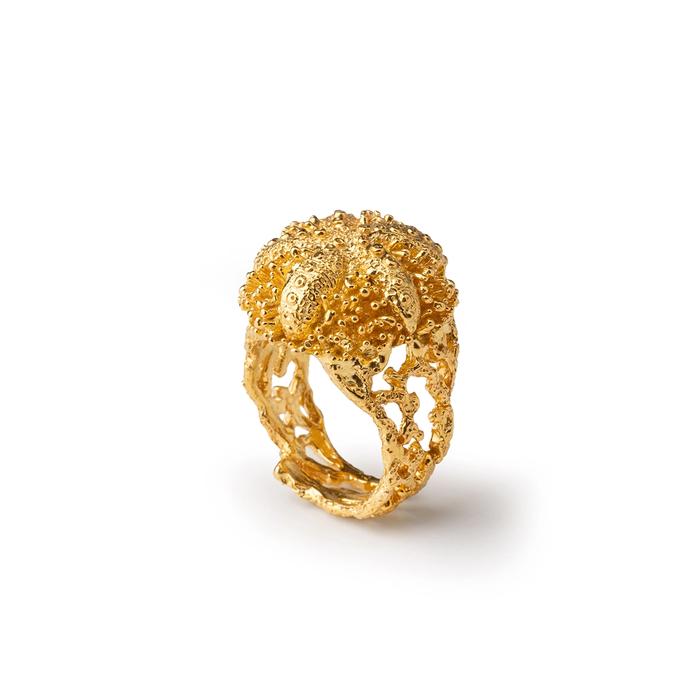 Anello Gold Riccio Aculei