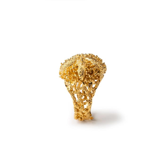 Anello Gold Riccio Aculei