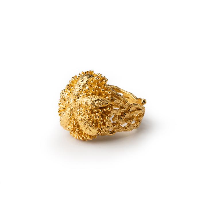 Anello Gold Riccio Aculei