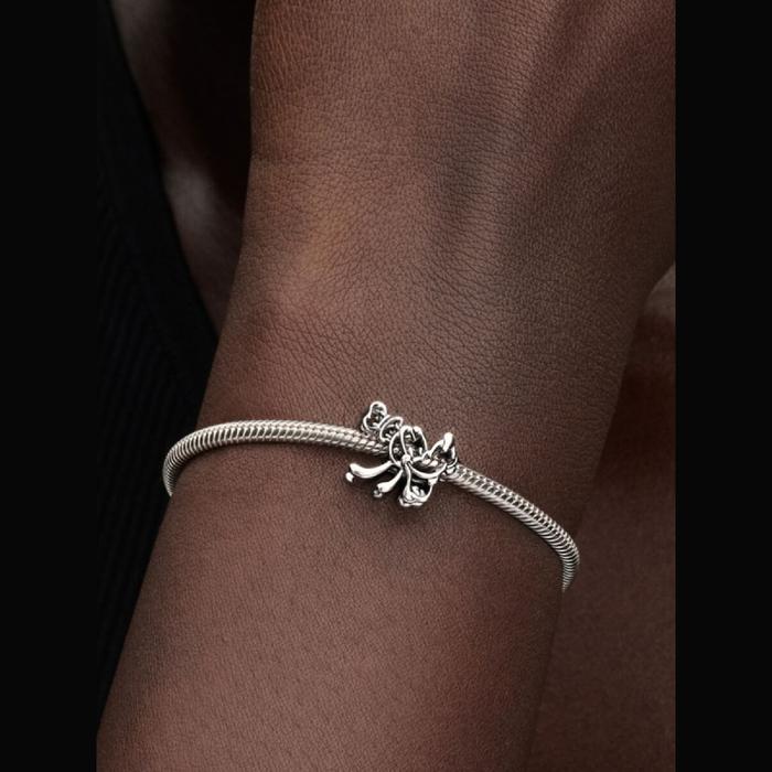 Disney, Openwork Pippo