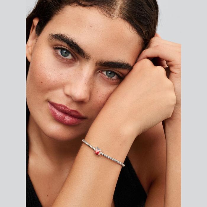 Charm Stella Marina Colorata