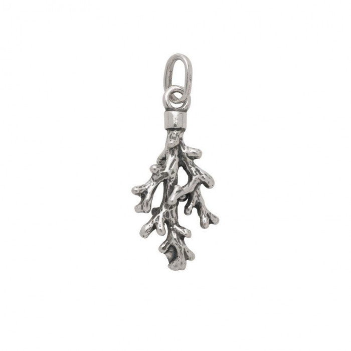 Corail moyen