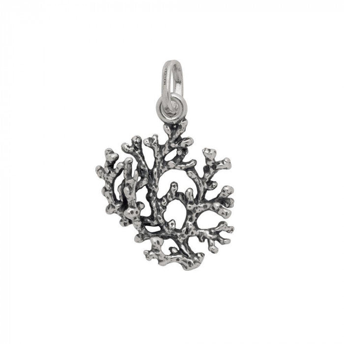 Corail moyen