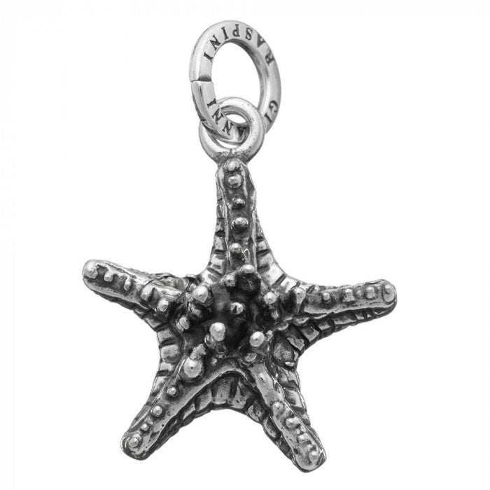 Étoile de mer grasse