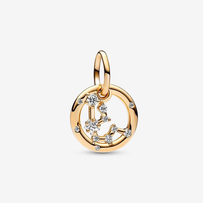 Aquarius Zodiac Sign Pendant Charm