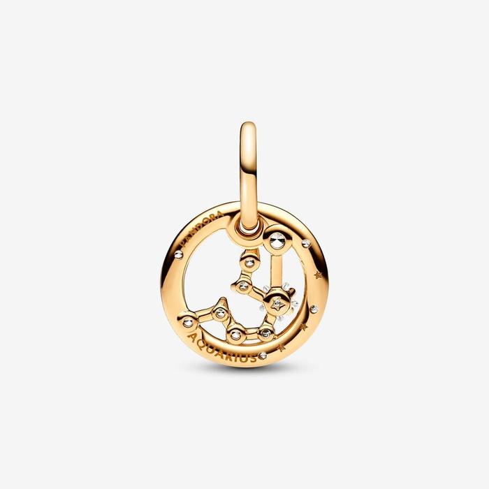 Aquarius Zodiac Sign Pendant Charm