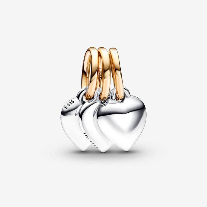 "Friends Forever" Pendant Charm Divisible