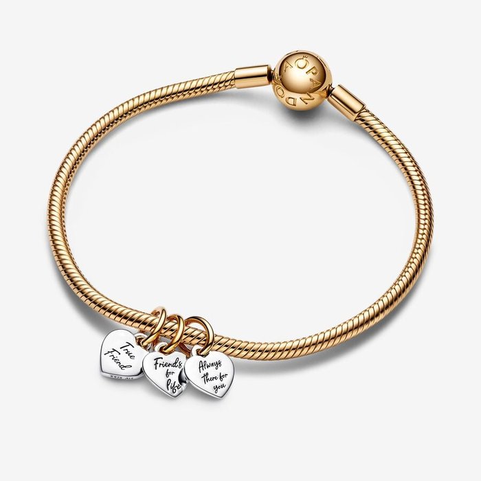 "Friends Forever" Pendant Charm Divisible