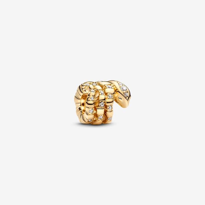 Snake Charm