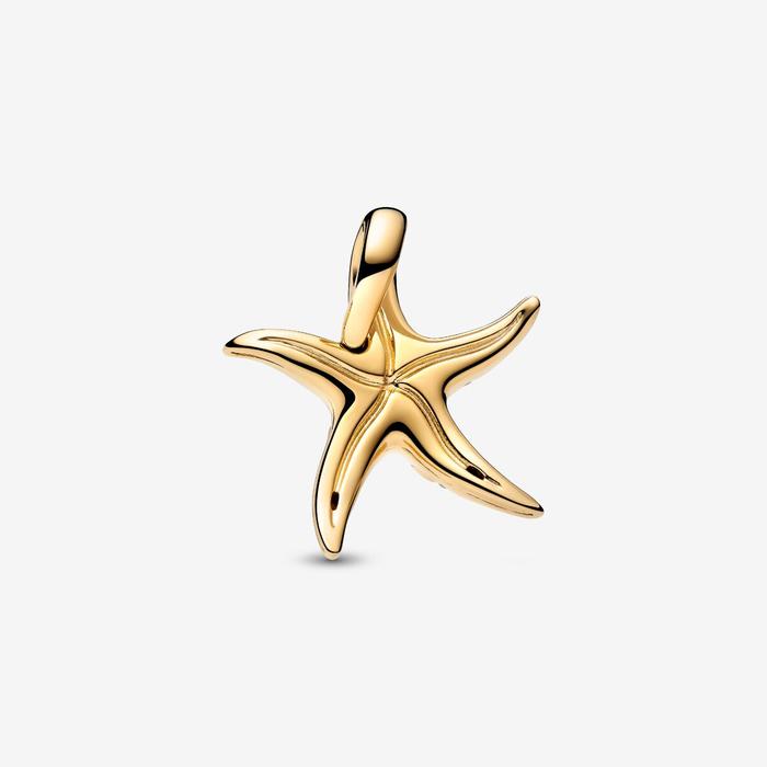 Charm Stella Marina Grande