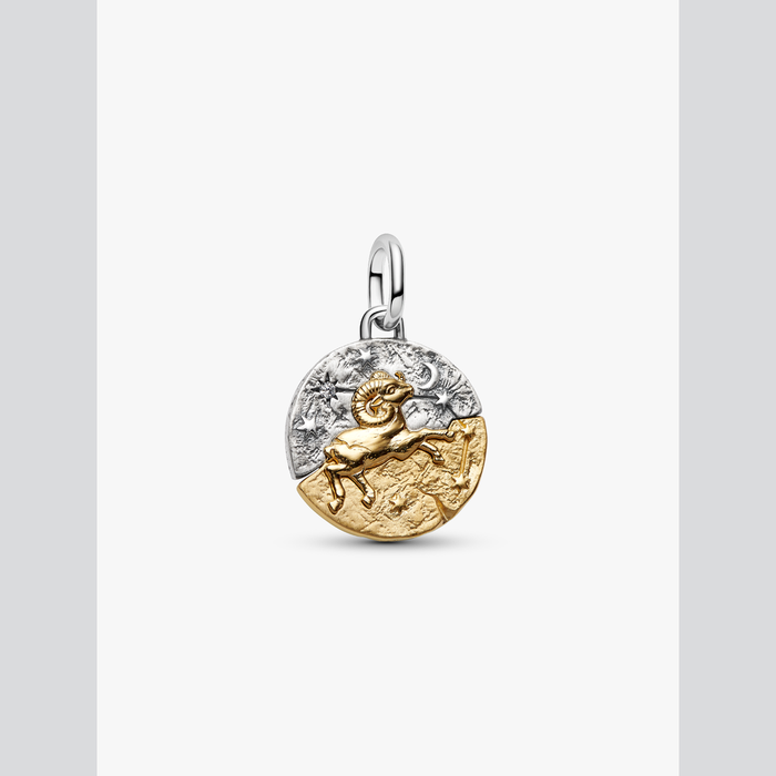 Charm Medallion Ariete