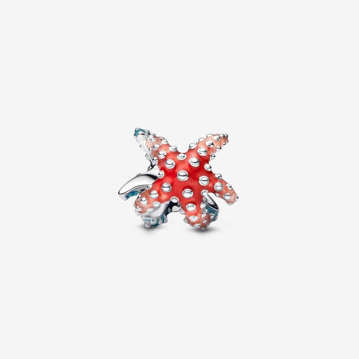 Charm Stella Marina Colorata