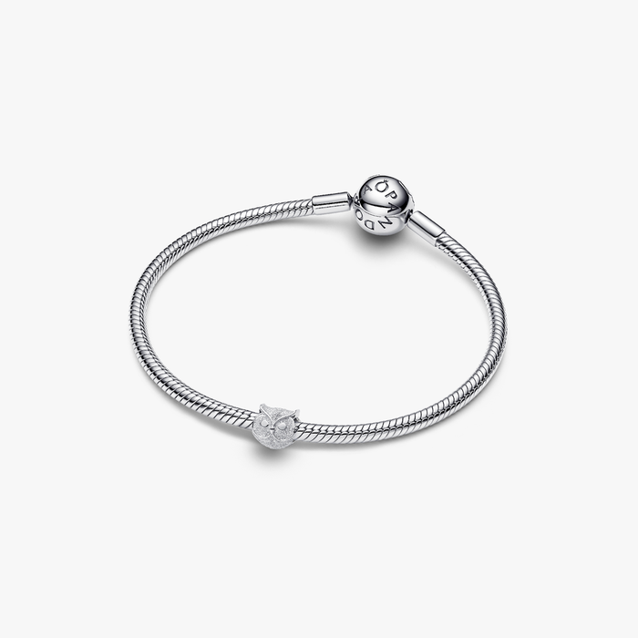 Mini Charm Gufo effetto diamantato