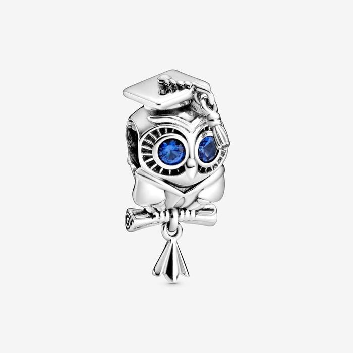 Charm Gufo Laureato