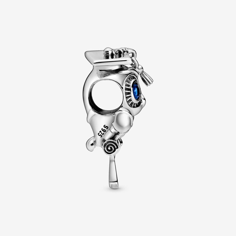 Charm Gufo Laureato