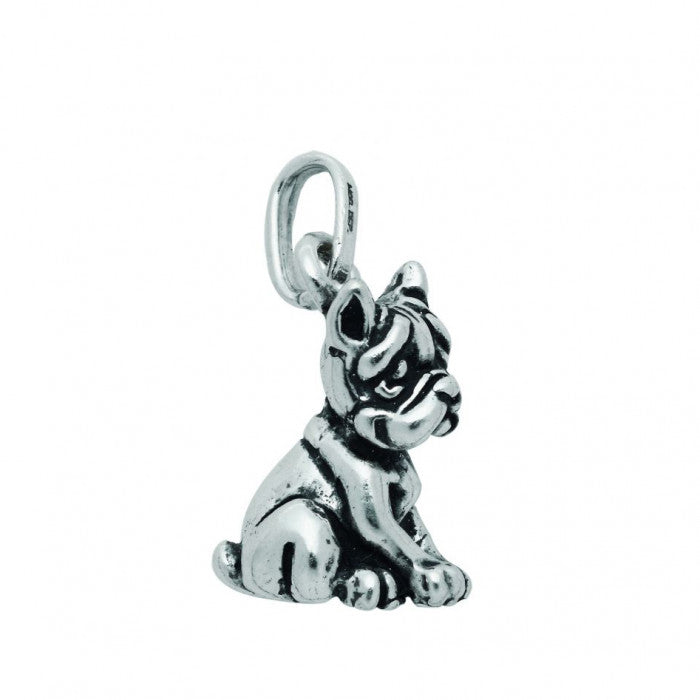 Chien Boxer