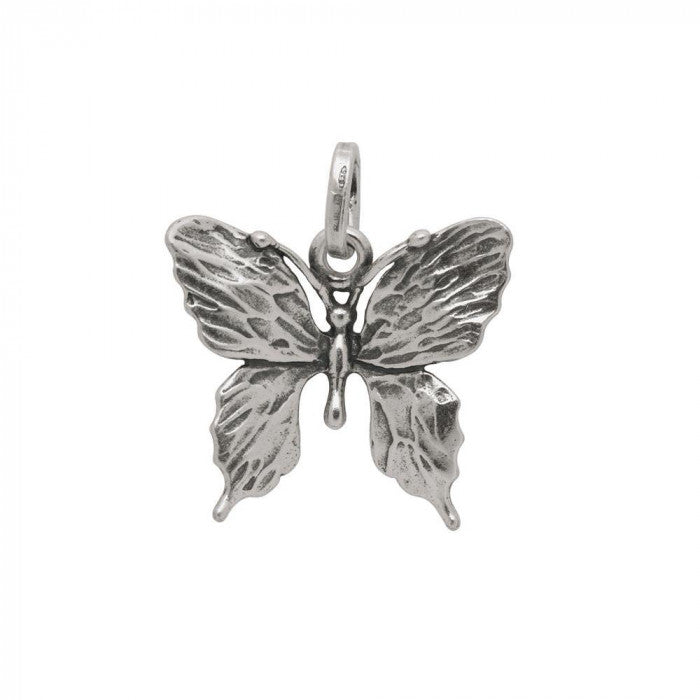 Papillon
