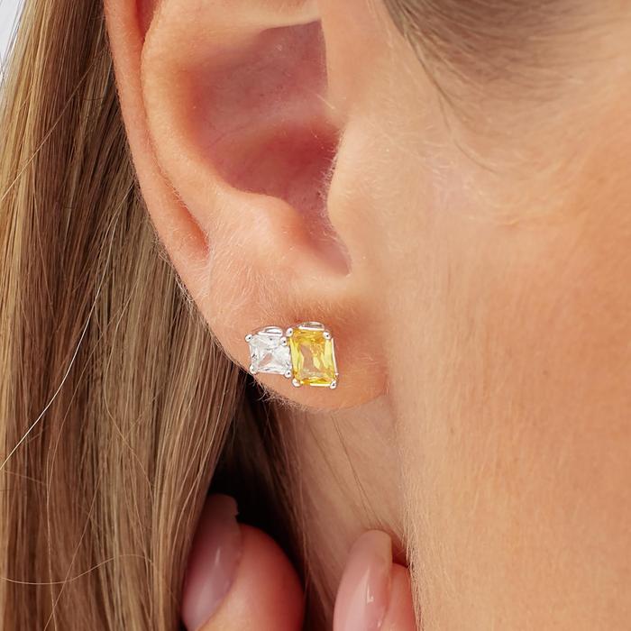 FANCY Earring