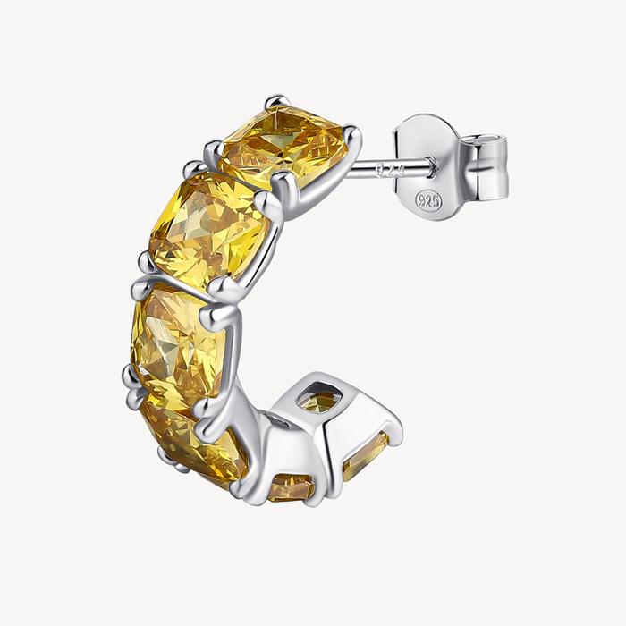 FANCY Earring
