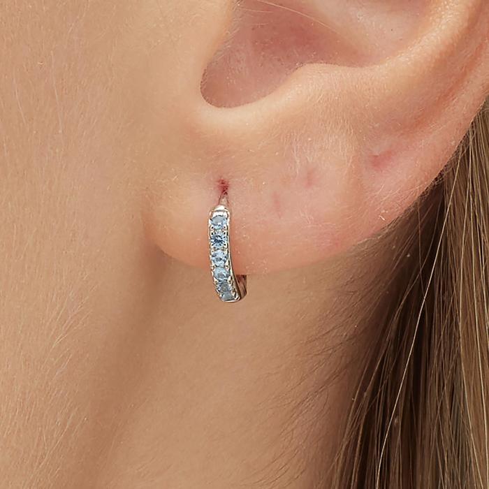 FANCY Earring