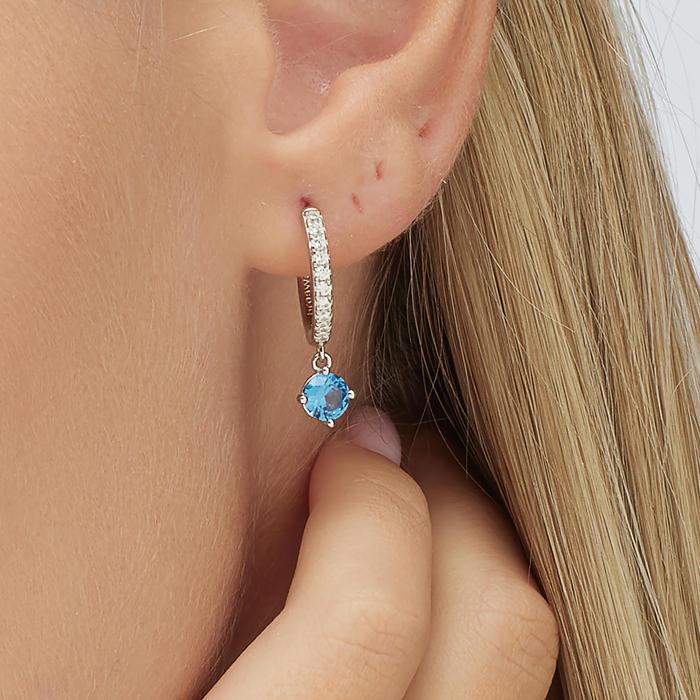 FANCY Earring