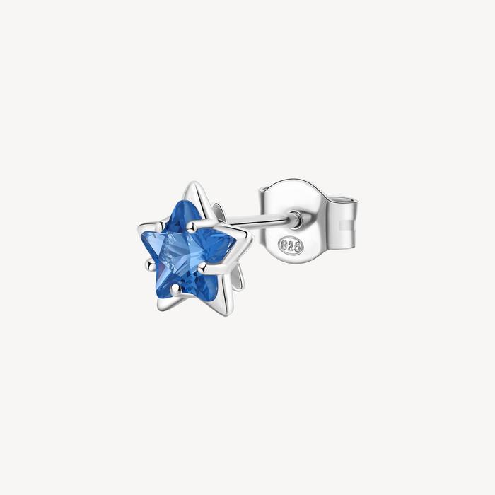 FANCY Earring