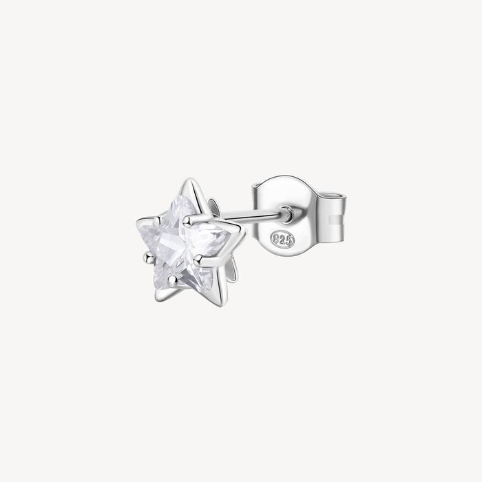 FANCY Earring