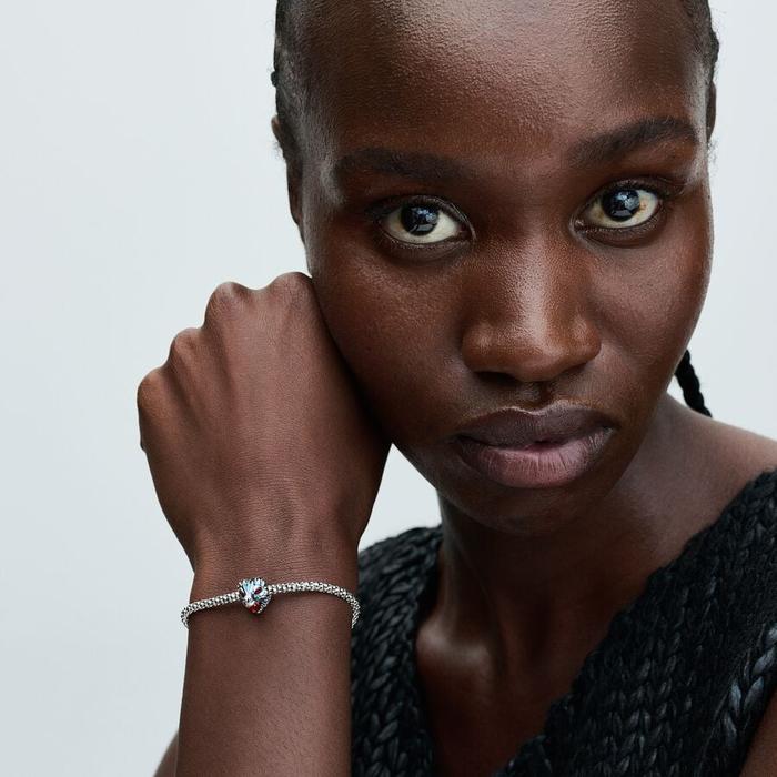 Charme Game of Thrones, Dragon