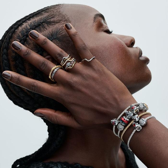 Charme Game of Thrones, Dragon