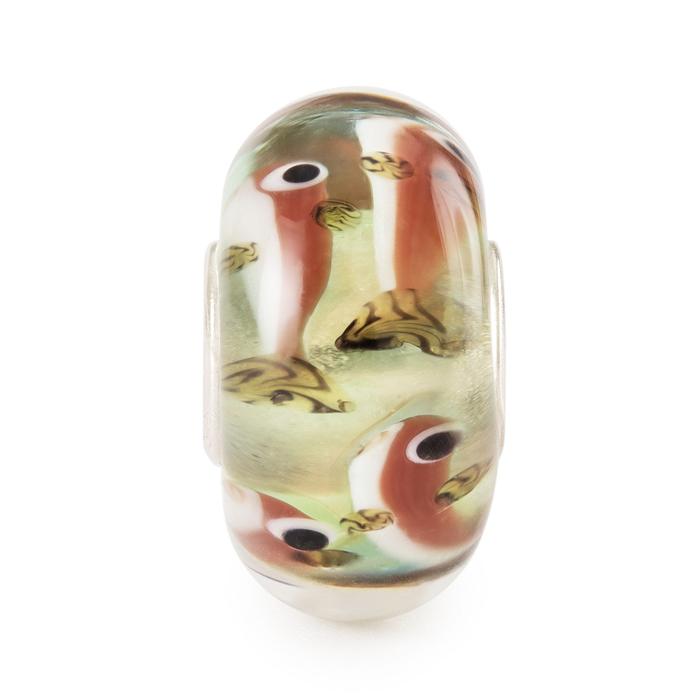 Petit poisson insouciant