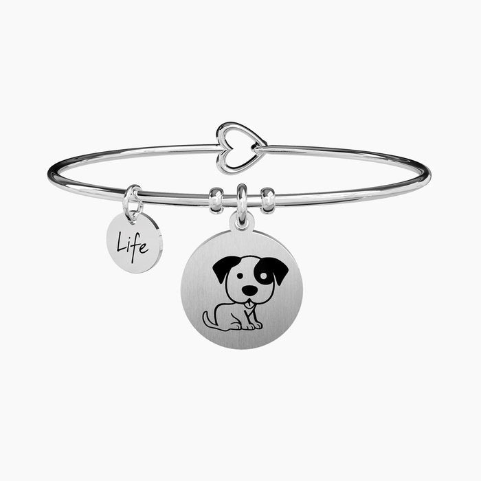 CHIEN | AFFECTION