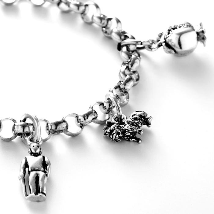 Charm Yorkshire Terrier