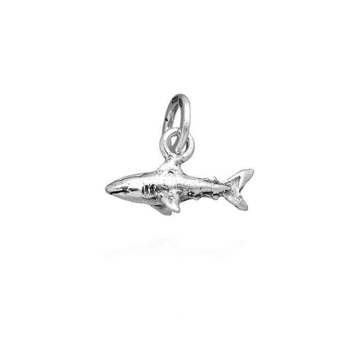 Charme de requin