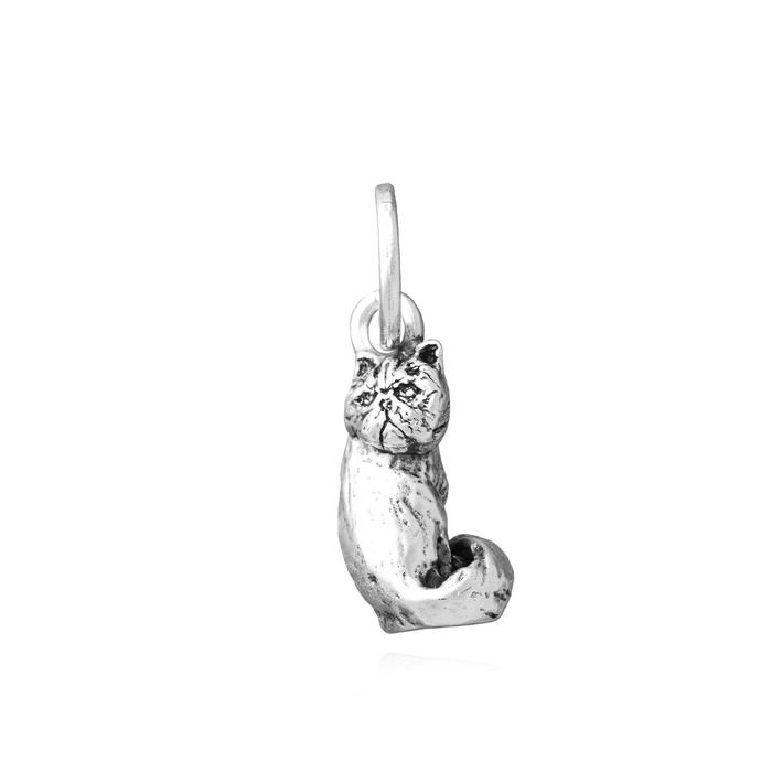 Charm Gatto Persiano