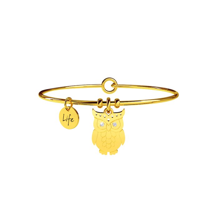 HIBOU | INSTINCTIONS