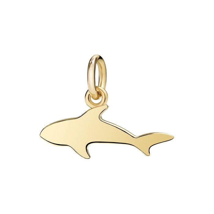 REQUIN