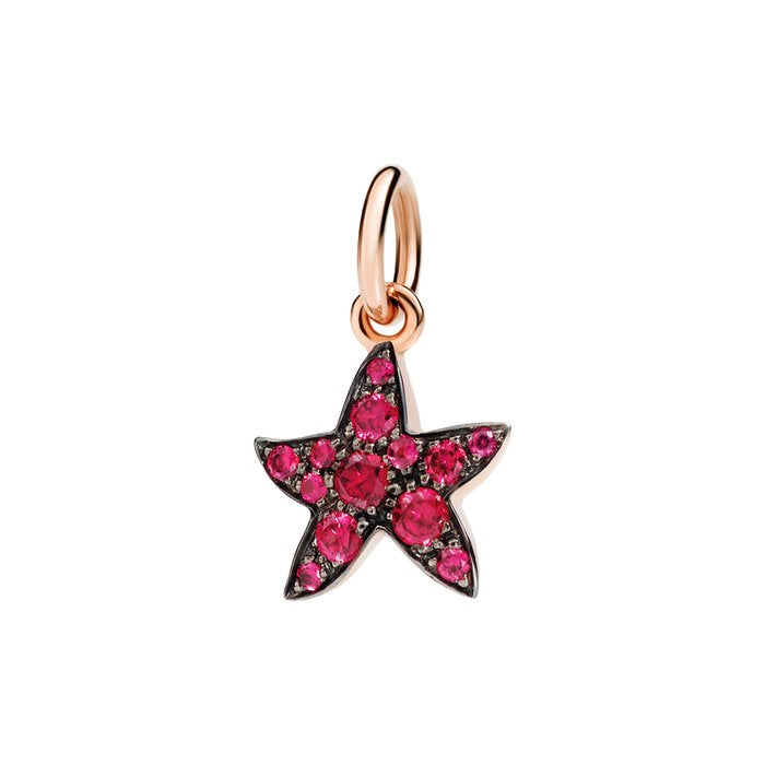 STELLINA