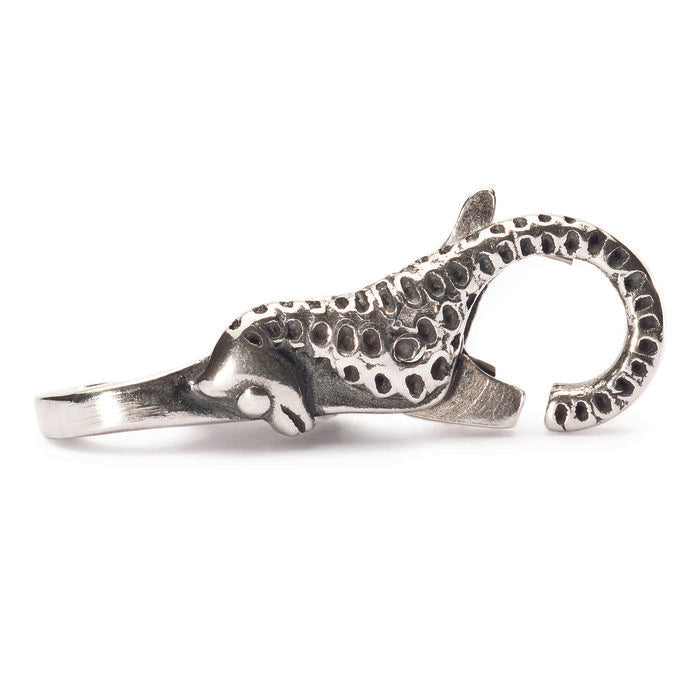 Chiusura Cavalluccio Marino