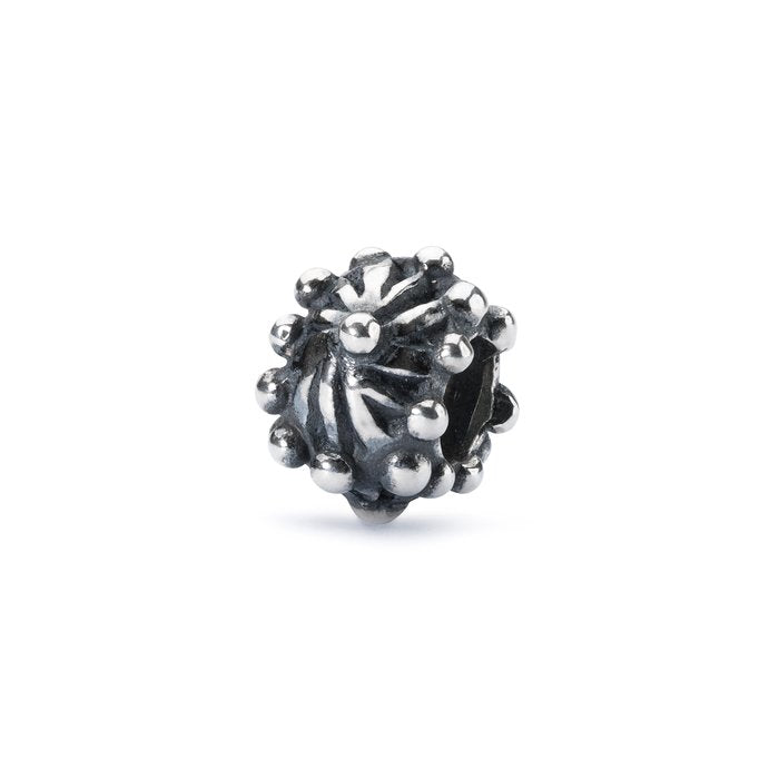 Fleur de vie