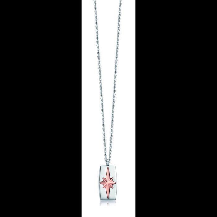 Pendant necklace with rosé wind rose plate