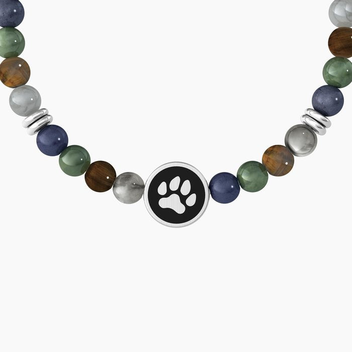 ANIMAUX DE COMPAGNIE | MEILLEURS AMIS